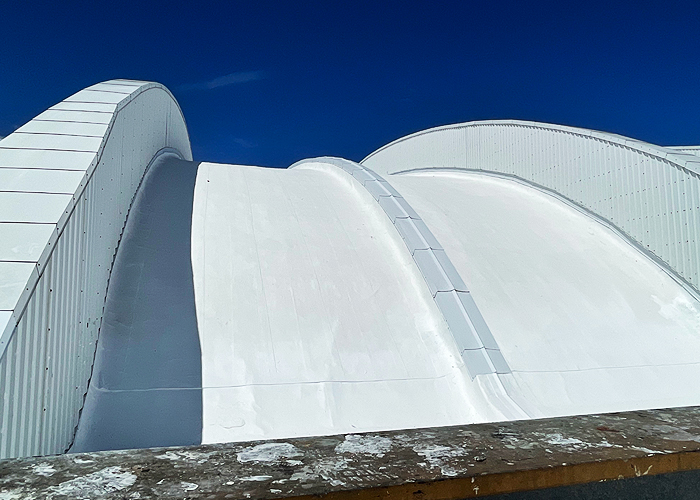 Image for the course: Going Seamless: The What, Where &amp; Why of Liquid Applied Roofing