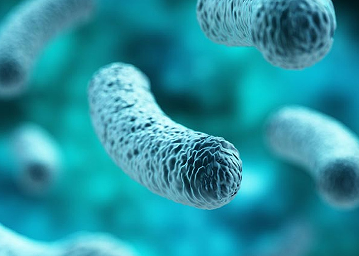 Display Image for Course: Best Practices for Legionella Mitigation – Part Two