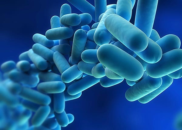 Display Image for Course: Best Practices for Legionella Mitigation – Part One