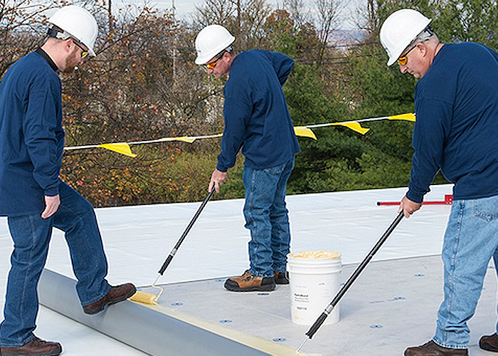 Image for the course: PVC Roofing Materials